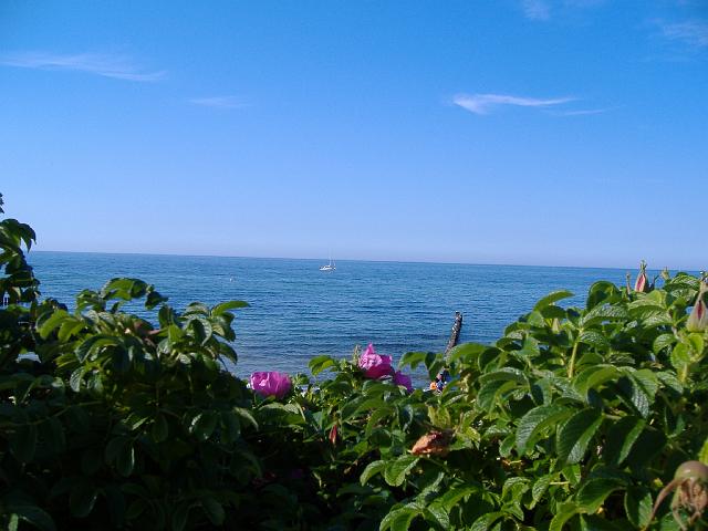 2008 - 001.jpg - Ostsee bei  Mecklenburg Vorpommern